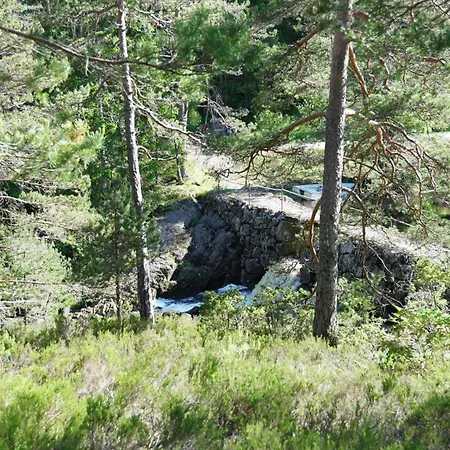 Hagestadhytteutleie Wallhall * Birkenes